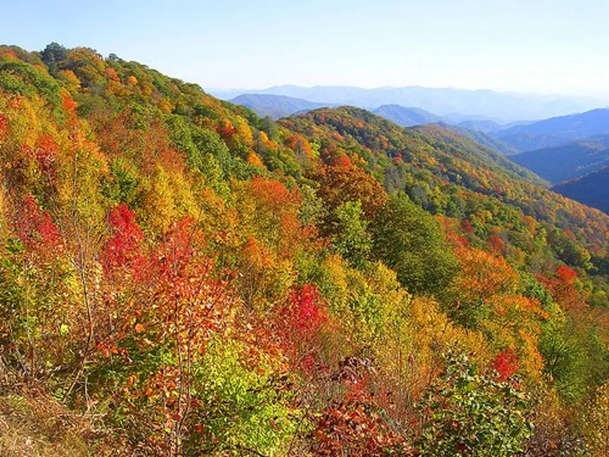A breathtaking panoramic view of the Great Smoky Mountains, with rolling hills blanketed by vibrant autumn foliage and distant mountain peaks stretching toward the horizon. The image evokes a sense of serenity and natural beauty, perfectly capturing the appeal of outdoor adventures like hiking and nature photography.